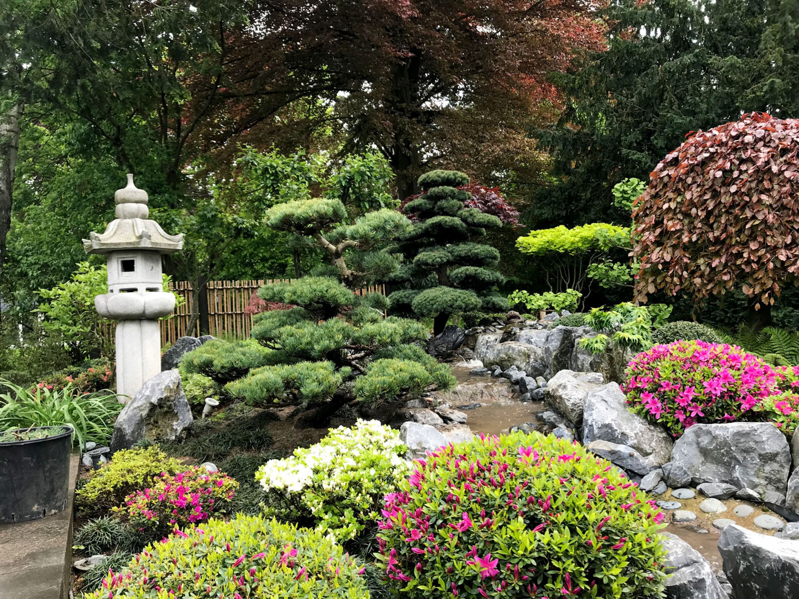 Japanischer Garten Gartenbau Astwerk