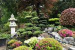 Japanischer Garten Gartenbau Astwerk